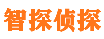 东乡族侦探公司